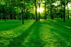 世界拳击公开赛：赛后数据复盘提升选手战术调整能力，拳击世界级比赛