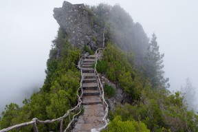世界拳击退役运动员健康长期跟踪项目，拳击运动员退役后有无后遗症
