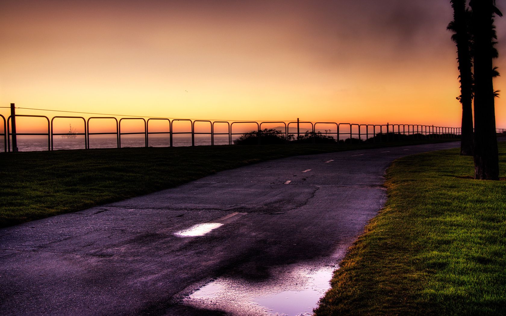 世界乒乓球联赛校园文明观赛活动年终总结发布,2021学生乒乓球比赛